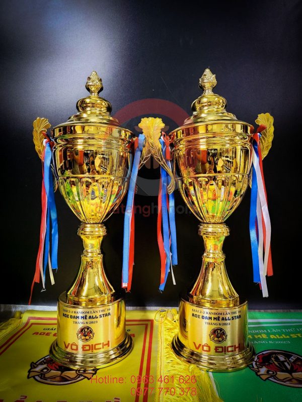 Cup đồng AOE All Star