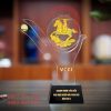 Cup vinh danh doanh nhân tiêu biểu VCCI