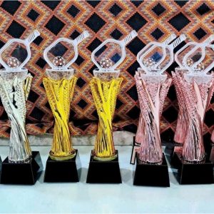 Bộ nhất nhì ba Pickleball đẹp