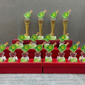 Cúp pickleball bộ nhất nhì ba